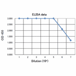 Titration of antibody reactivity of anti-Pertussis antiserum by direct ELISA 