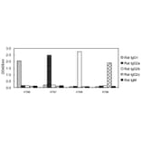 ELISA - Anti-IgG2a Antibody (HRP) (011003G07H) - Antibodies.com