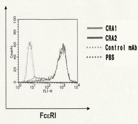 Anti-FCER1A Antibody