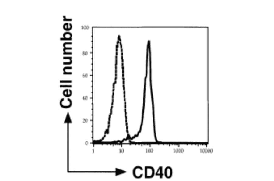 Expression of CD40 on the cell suface of monocyte derived dendric cells as analyzed by Flow Cytometry with anti-CD40 antibody (5C3).
