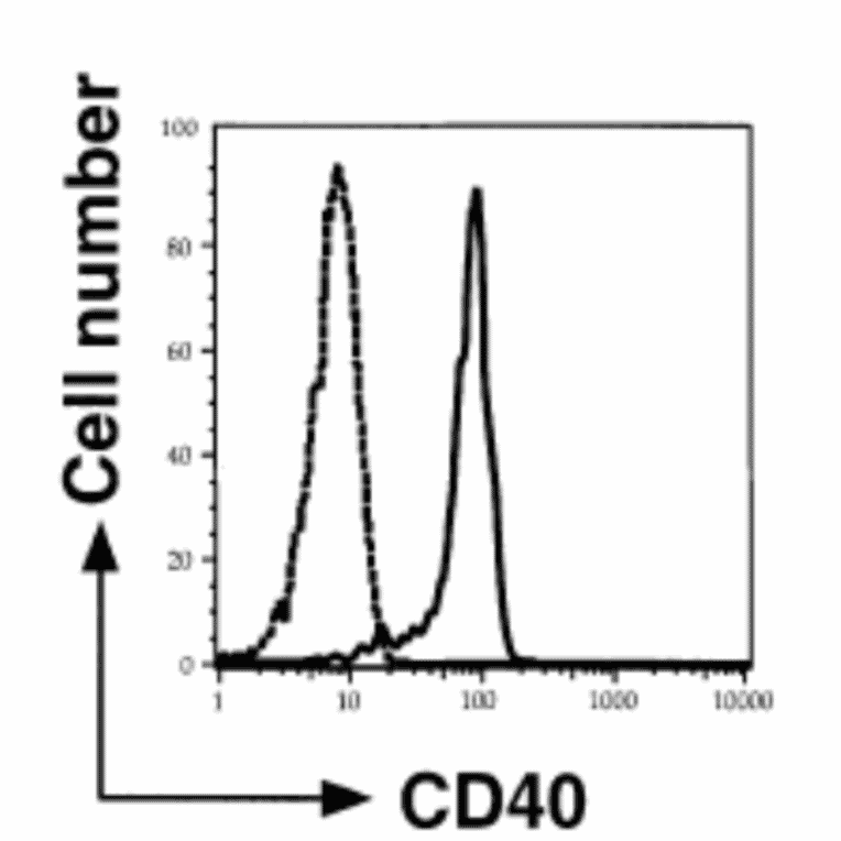Expression of CD40 on the cell suface of monocyte derived dendric cells as analyzed by Flow Cytometry with anti-CD40 antibody (5C3).