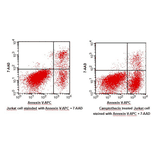 Flow Cytometry - Annexin V-APC Apoptosis Detection Kit (BAD1004) - Antibodies.com