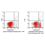 Flow Cytometry - Annexin V-PE Apoptosis Detection Kit (BAD1005) - Antibodies.com