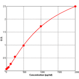 Standard Curve - Rat BDNF ELISA Kit (BEK1013) - Antibodies.com