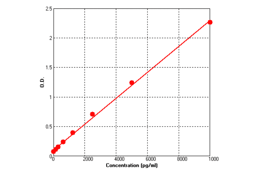 Standard Curve - Mouse Galectin 1 ELISA Kit (BEK1065) - Antibodies.com