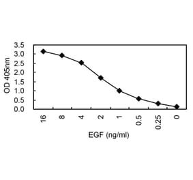 Sandwich ELISA - Anti-EGF Antibody (HRP) (030105B03H) - Antibodies.com