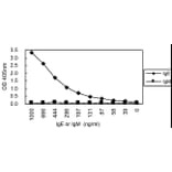 Sandwich ELISA - Anti-IgE Antibody (HRP) (000101A02H) - Antibodies.com