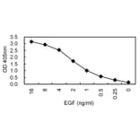 Sandwich ELISA - Anti-EGF Antibody (030106B08) - Antibodies.com