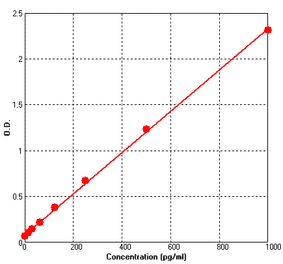 Standard Curve - Human MDC ELISA Kit (BEK1148) - Antibodies.com