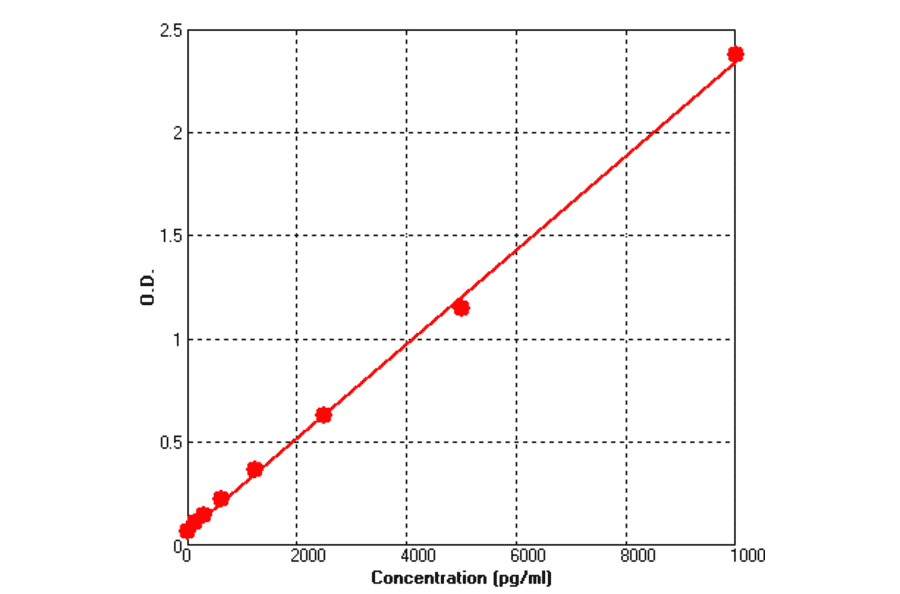 Standard Curve - Rat MMP2 ELISA Kit (BEK1158) - Antibodies.com