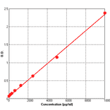 Standard Curve - Rat MMP2 ELISA Kit (BEK1158) - Antibodies.com