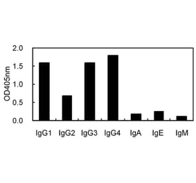 ELISA - Anti-IgG Antibody (030202D04) - Antibodies.com