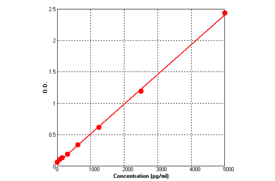Standard Curve - Human MMP13 ELISA Kit (BEK1164) - Antibodies.com