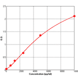 Standard Curve - Rat NGAL ELISA Kit (BEK1168) - Antibodies.com