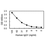 Sandwich ELISA - Anti-IgG Antibody (HRP) (030202D04H) - Antibodies.com