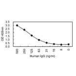 Sandwich ELISA - Anti-IgG Antibody (HRP) (030202D04H) - Antibodies.com