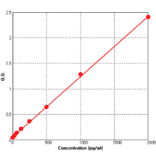 Standard Curve - Rat TIMP1 ELISA Kit (BEK1209) - Antibodies.com