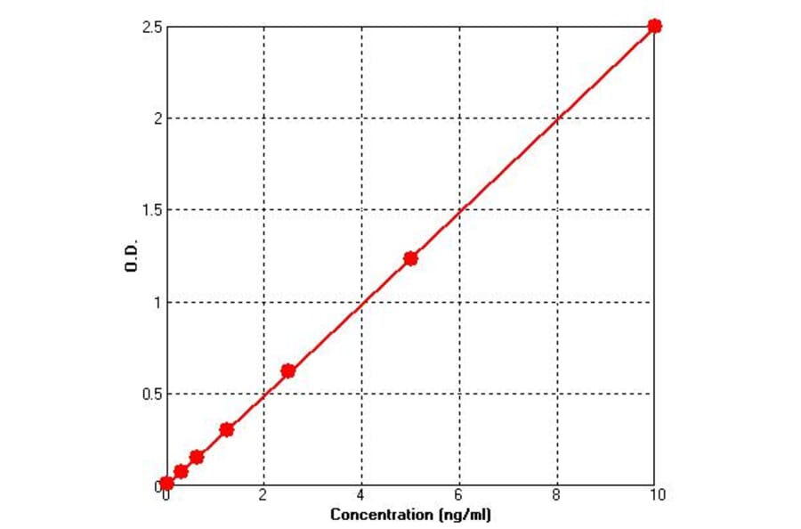 Standard Curve - Human Progesterone receptor ELISA Kit (BEK1236) - Antibodies.com