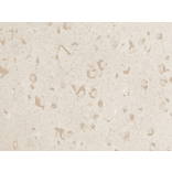 Immunohistochemistry - Anti-NETO1 Antibody (BMA1031) - Antibodies.com