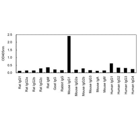 ELISA - Anti-IgG1 Antibody (HRP) (030604A06H) - Antibodies.com