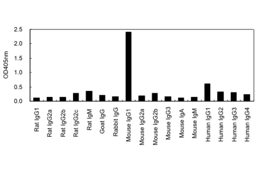 ELISA - Anti-IgG1 Antibody (HRP) (030604A06H) - Antibodies.com