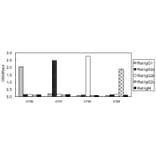 ELISA - Anti-IgG1 Antibody (HRP) (031402D02H) - Antibodies.com