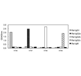 ELISA - Anti-IgG2b Antibody (HRP) (031502D08H) - Antibodies.com