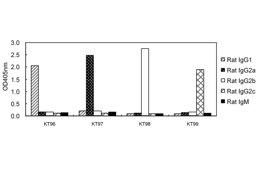 ELISA - Anti-IgG2b Antibody (HRP) (031502D08H) - Antibodies.com