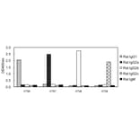 ELISA - Anti-IgG2b Antibody (HRP) (031502D08H) - Antibodies.com