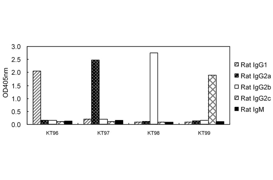 ELISA - Anti-IgG2c Antibody (HRP) (031601F11H) - Antibodies.com