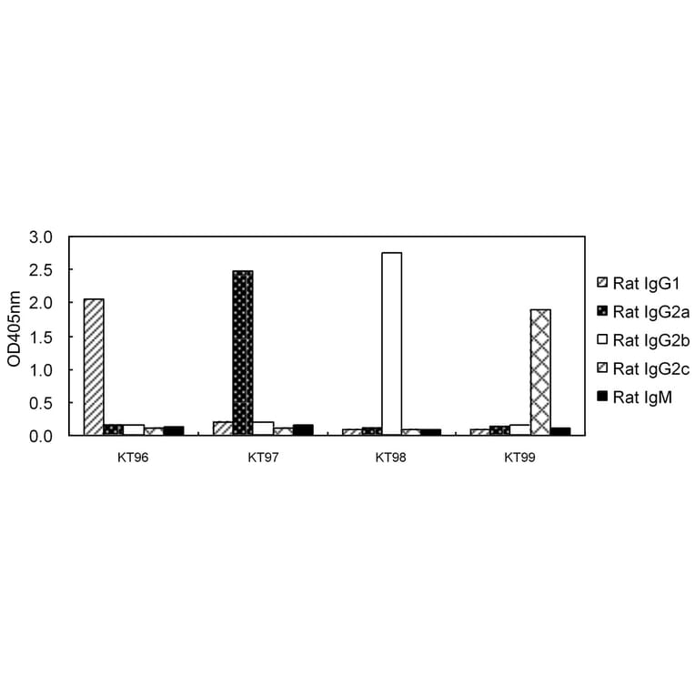 ELISA - Anti-IgG2c Antibody (HRP) (031601F11H) - Antibodies.com