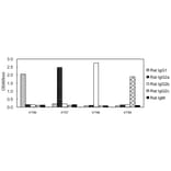 ELISA - Anti-IgG2c Antibody (HRP) (031601F11H) - Antibodies.com
