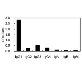 Cross-Reactivity Test - Anti-IgG1 Antibody (031801A04) - Antibodies.com