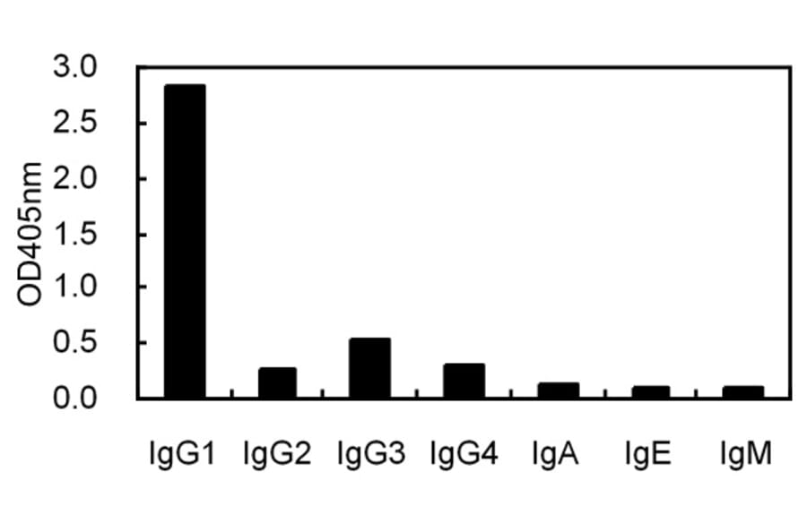 Cross-Reactivity Test - Anti-IgG1 Antibody (031801A04) - Antibodies.com