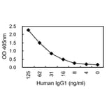 Sandwich ELISA - Anti-IgG1 Antibody (031801A04) - Antibodies.com