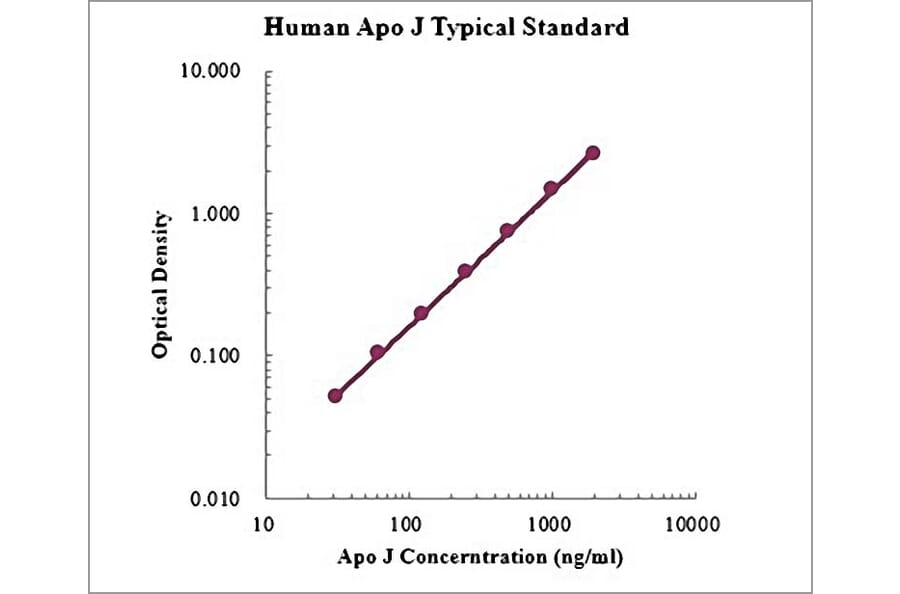 Standard Curve - Human Apolipoprotein J ELISA Kit (EK1221) - Antibodies.com