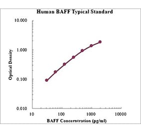 Standard Curve - Human BAFF ELISA Kit (EK1102) - Antibodies.com