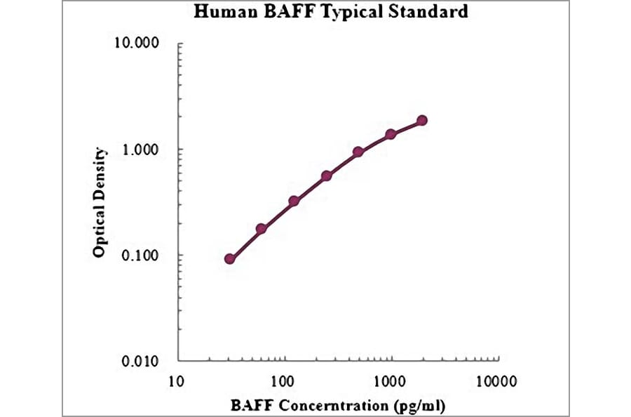 Standard Curve - Human BAFF ELISA Kit (EK1102) - Antibodies.com