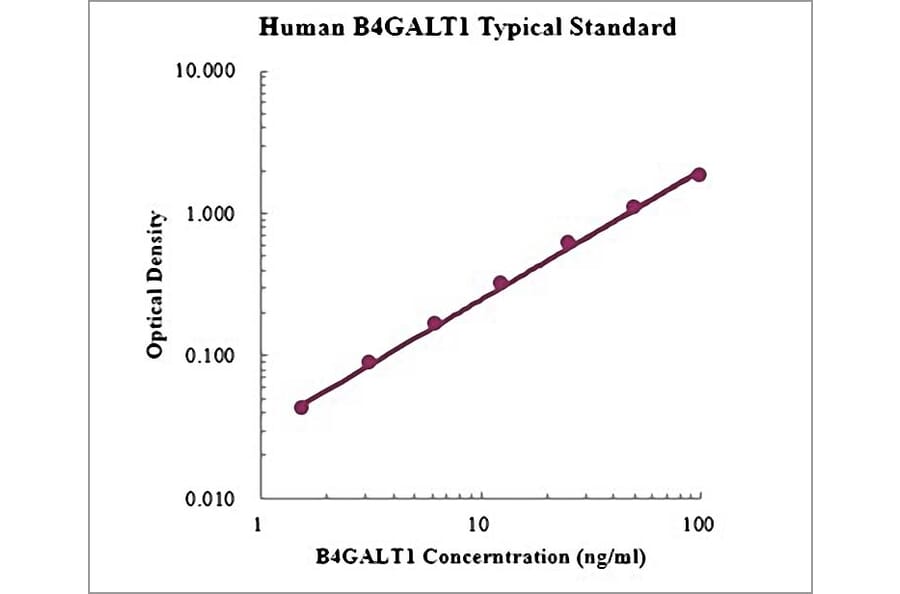 Standard Curve - Human B4GALT1 ELISA Kit (EK1188) - Antibodies.com