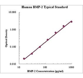 Standard Curve - Human BMP-2 ELISA Kit (EK1108) - Antibodies.com