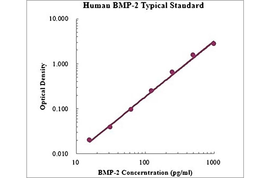 Standard Curve - Human BMP-2 ELISA Kit (EK1108) - Antibodies.com