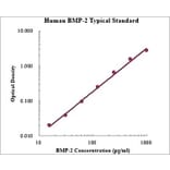 Standard Curve - Human BMP-2 ELISA Kit (EK1108) - Antibodies.com