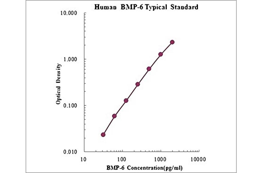 Standard Curve - Human BMP-6 ELISA Kit (EK1128) - Antibodies.com