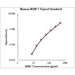 Standard Curve - Human BMP-7 ELISA Kit (EK1165) - Antibodies.com