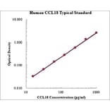 Standard Curve - Human CCL18 ELISA Kit (EK1148) - Antibodies.com