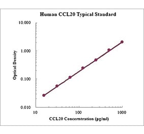 Standard Curve - Human CCL20 ELISA Kit (EK1211) - Antibodies.com
