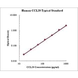 Standard Curve - Human CCL20 ELISA Kit (EK1211) - Antibodies.com
