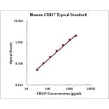 Standard Curve - Human CD117 ELISA Kit (EK1206) - Antibodies.com