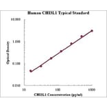 Standard Curve - Human CHI3L1 ELISA Kit (EK1164) - Antibodies.com