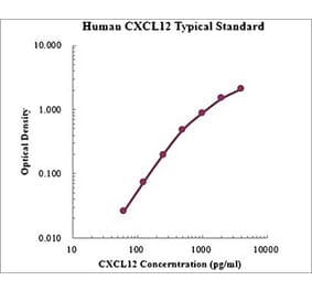 Standard Curve - Human CXCL12 ELISA Kit (EK1119) - Antibodies.com